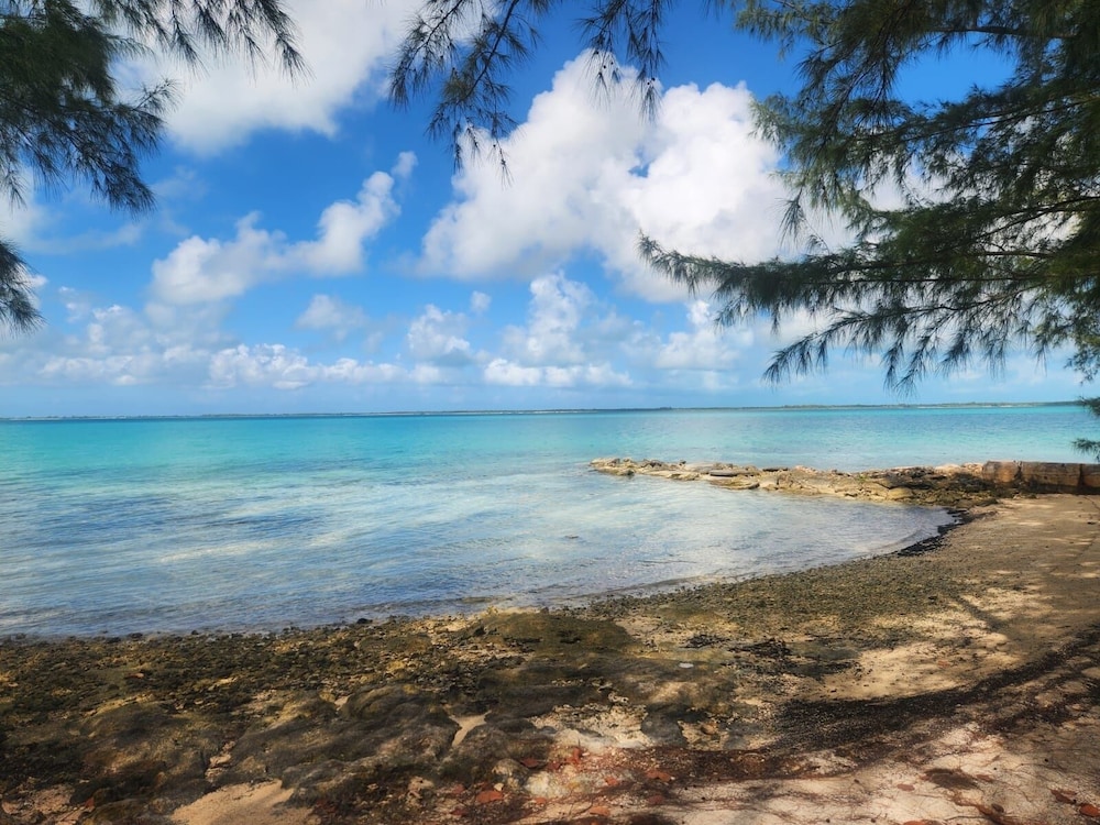 By The Bay - Brand New Apartment, Steps To The Sea, Walk To Town 1 Bedroom Apts