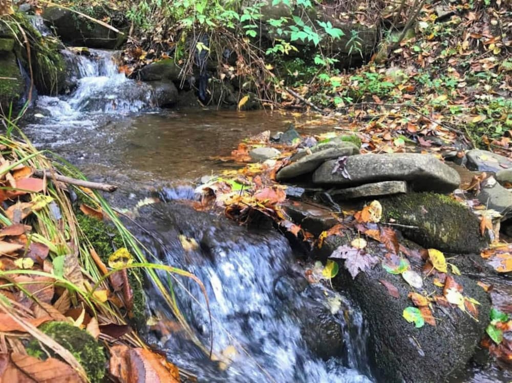 Catskill Retreat