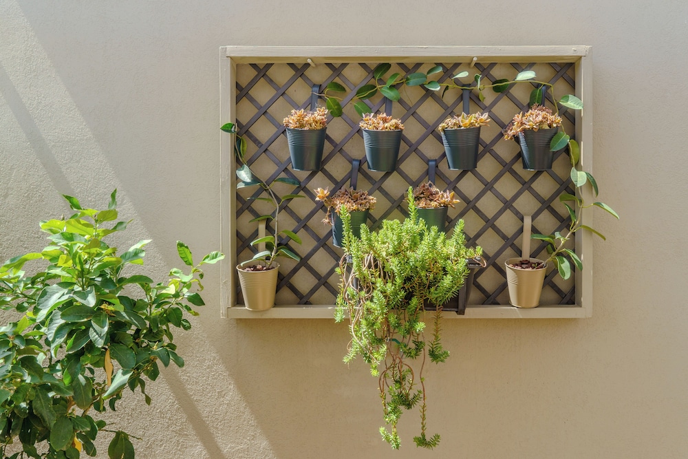 Viridiano Rooms & Apartments