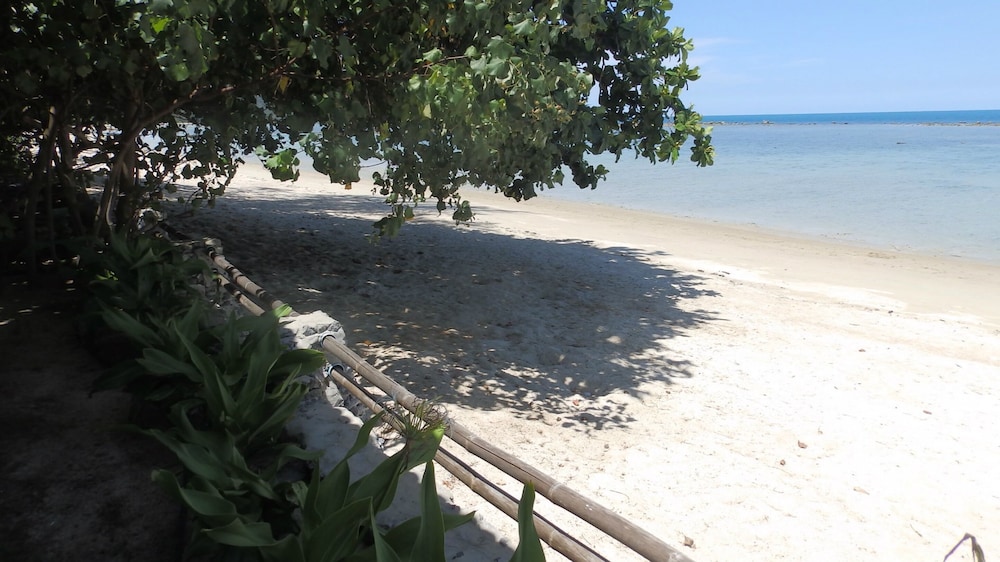 Photo 6