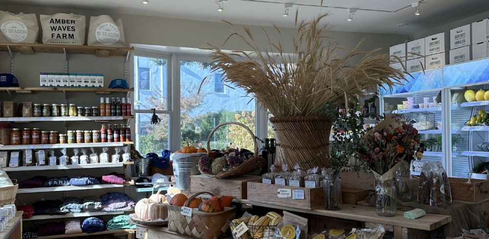 Glass Villa East Hampton view 4
