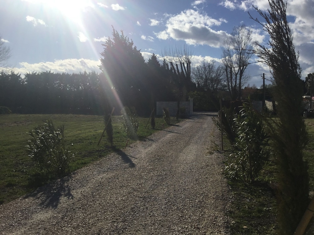Photo 44