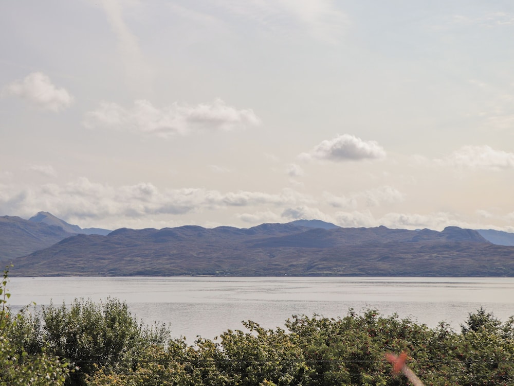The Lookout