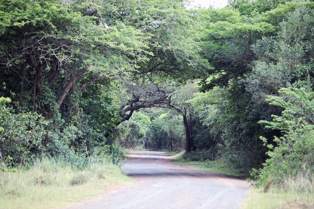 Emdoneni Lodge