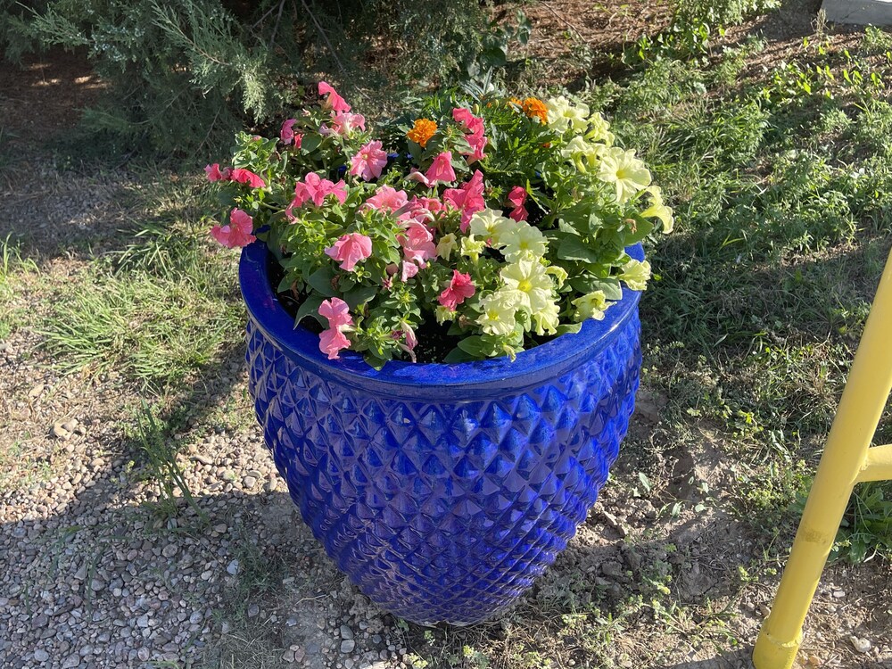 Photo 86