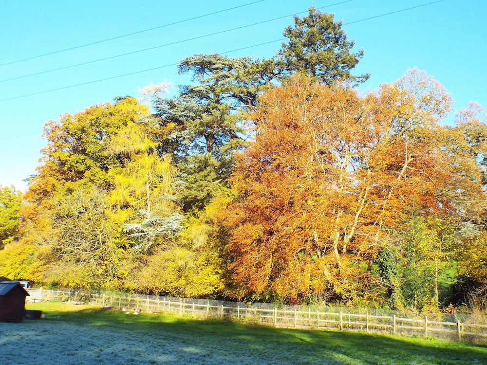 Meadowbrook Cottage B&B