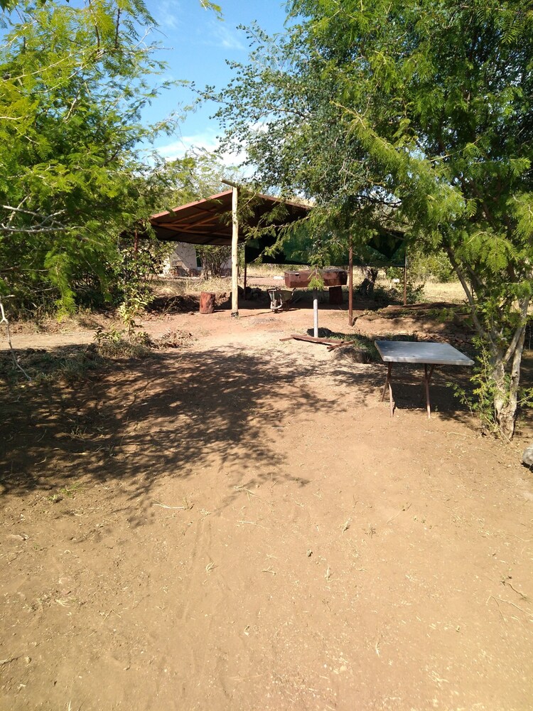 Photo 21