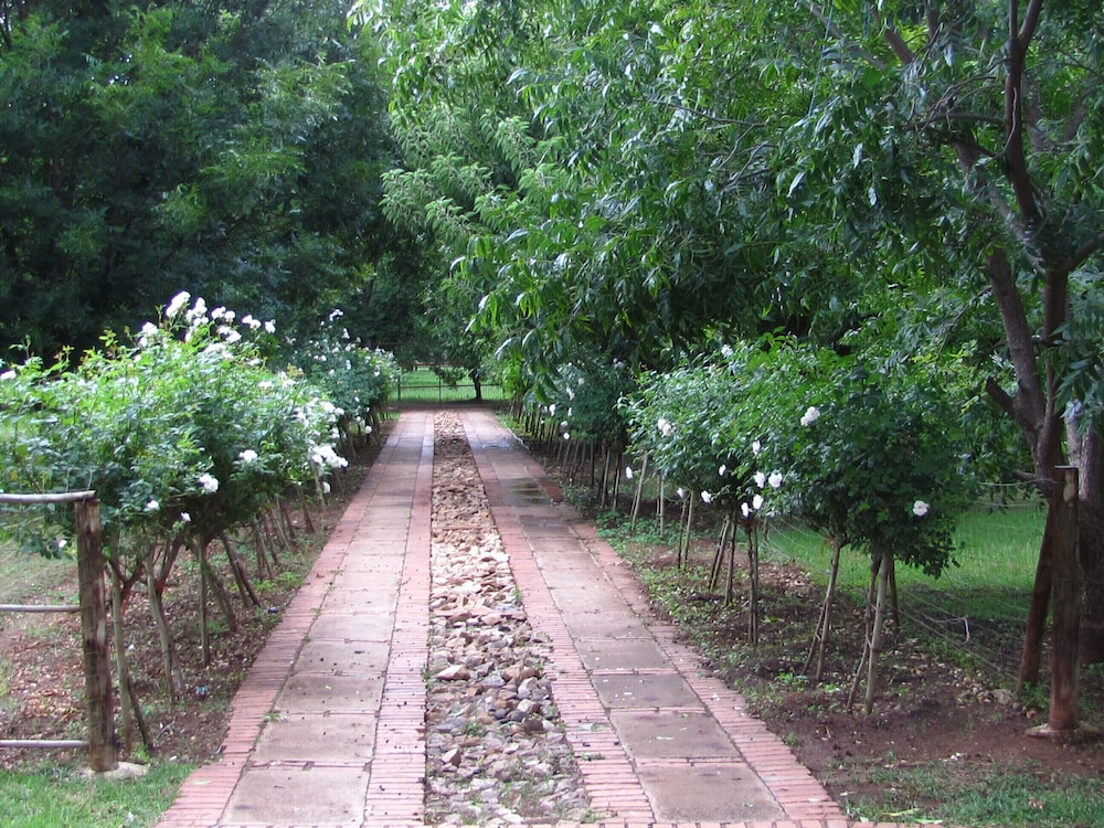 Photo 40