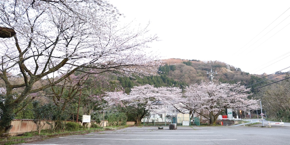 Yamanaka Spa Hanatsubaki