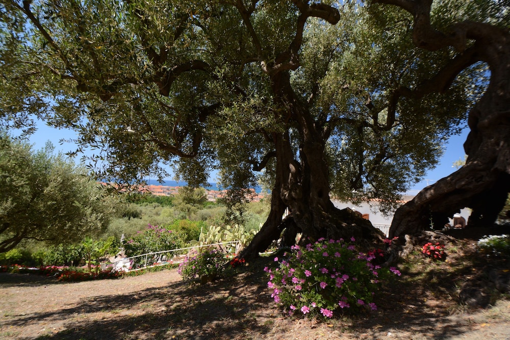 Il Paradiso di Hyele