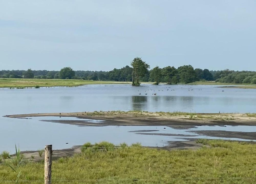 Holiday Home in Oisterwijk With Private Pool view 5