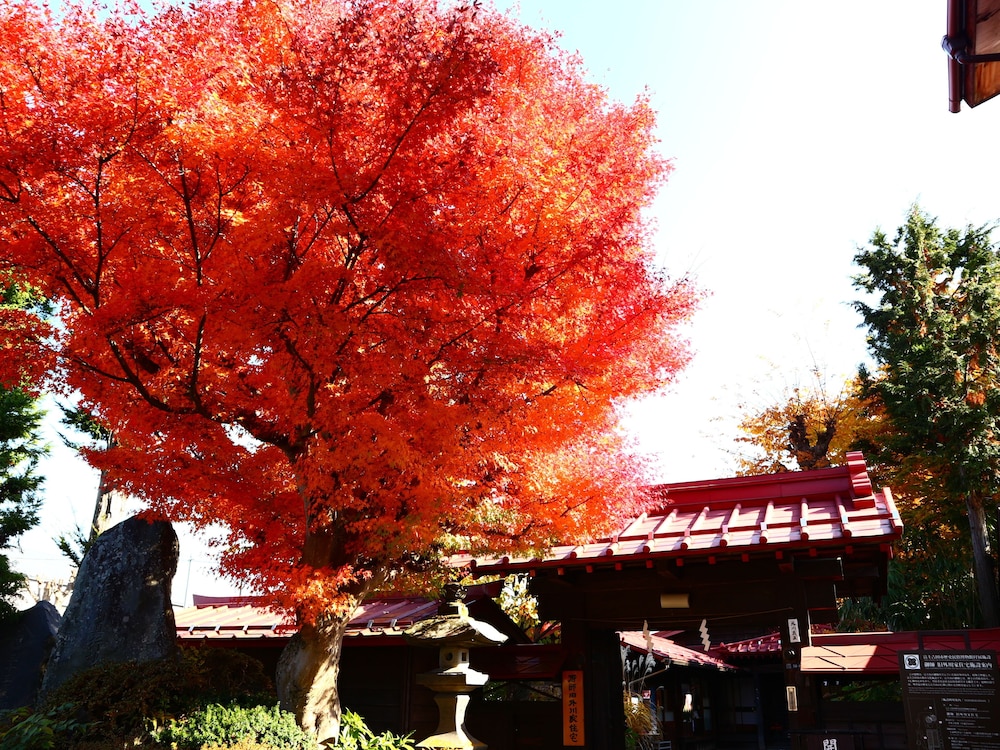 Hostel Fujisan YOU