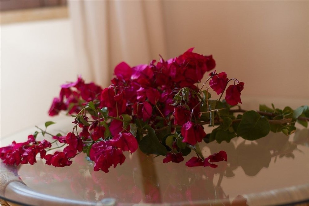 Agriturismo Baglio Donna Santa, Billede 24