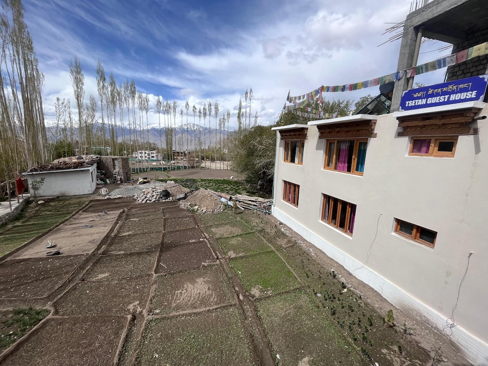 Tsetanguesthouse