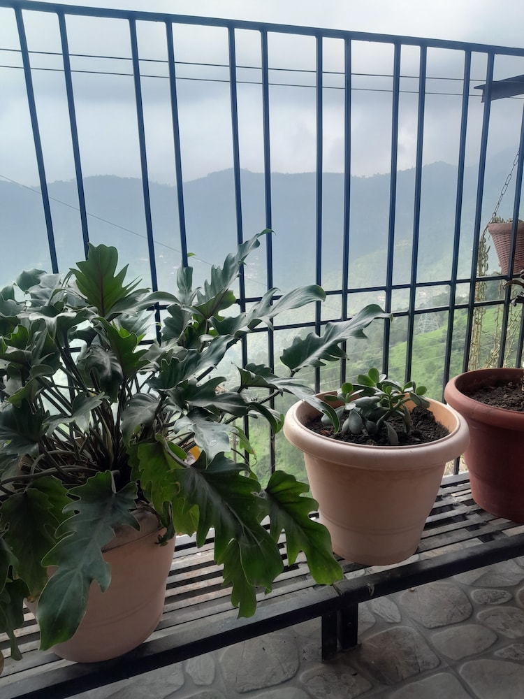 Mountain and peace