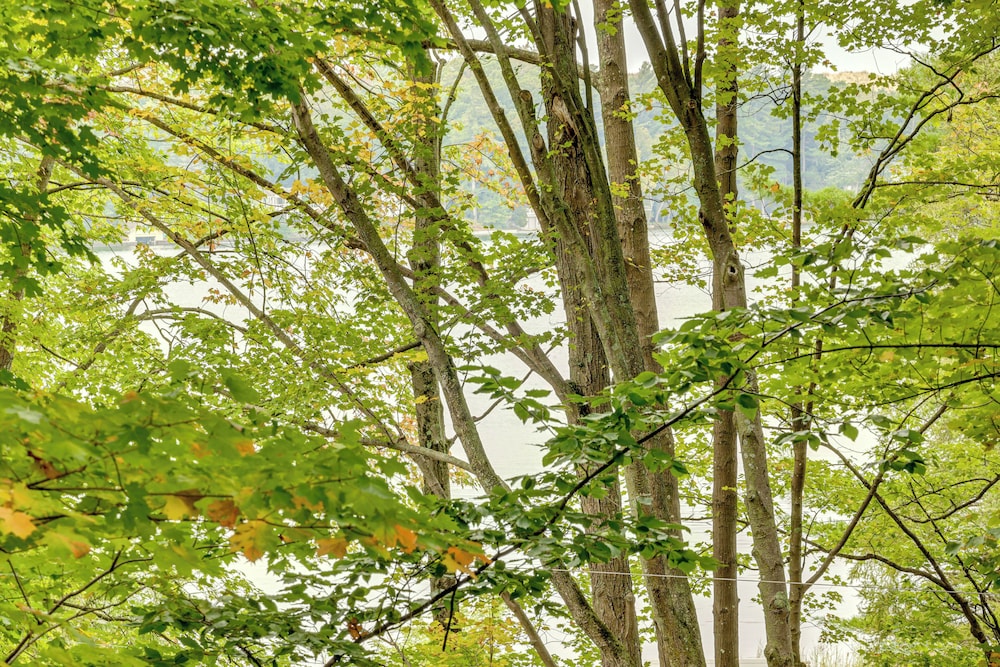 Walk to Lake Hamlin: Cottage Near Boat Launch