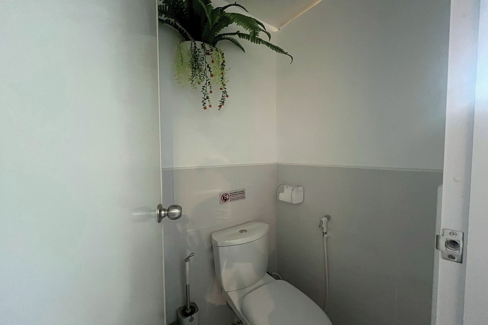 Lazy Lizard Hostel