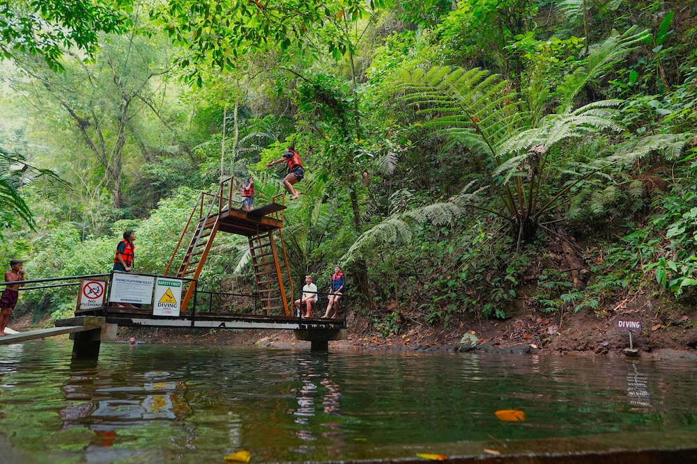 Ayong's Adventure Park