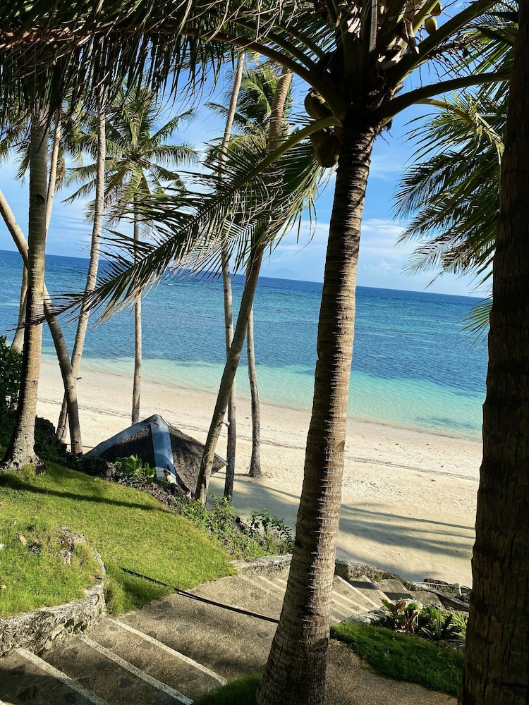 Anda White Beach Resort 65