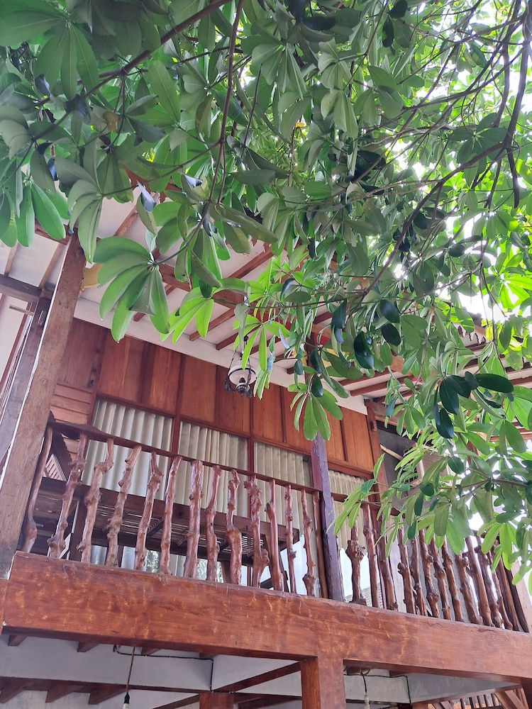 Diana's Homestay