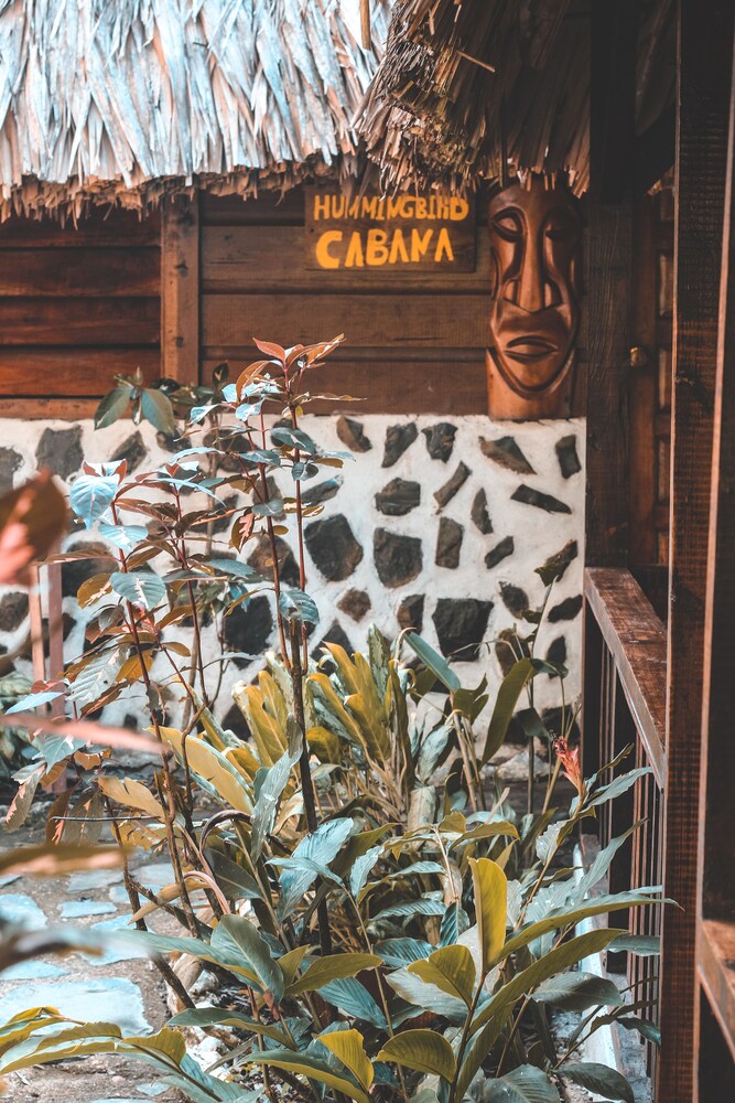 Belize Vacations - Cohune Palms River Cabanas - Property Image 3