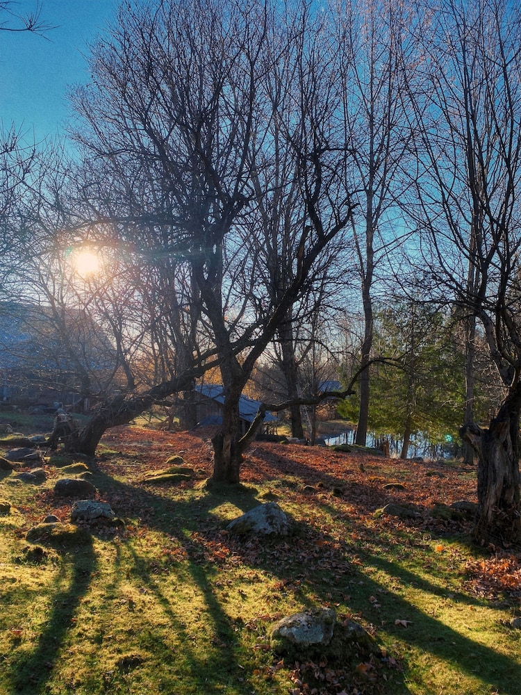 Relaxing Nature Retreat Perfect for Large Groups