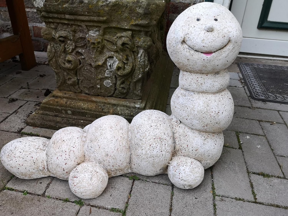 Photo 31