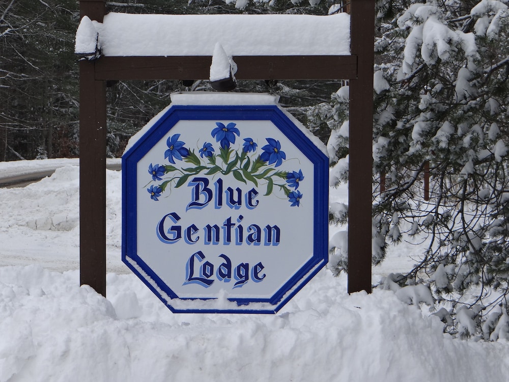 Blue Gentian Lodge at Magic Mountain