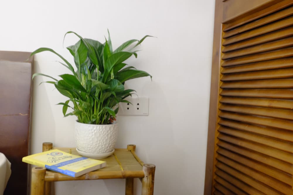 A Green Home