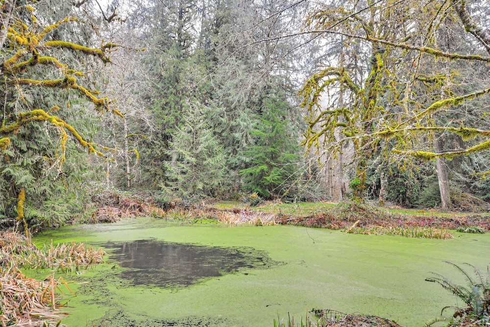 4 Mi to Sandy River Access: Studio w/ Mtn Views!