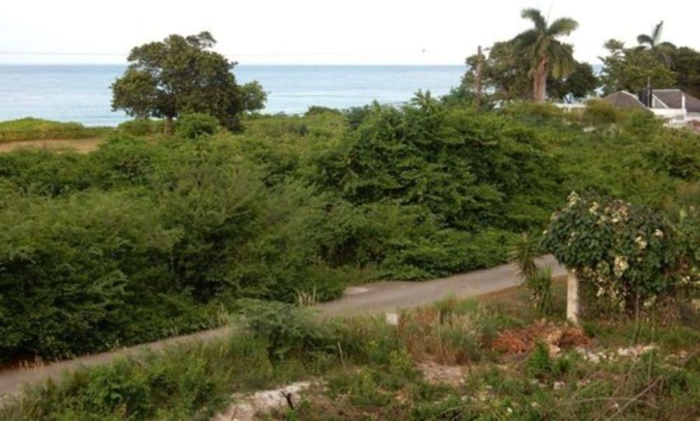 Photo 22