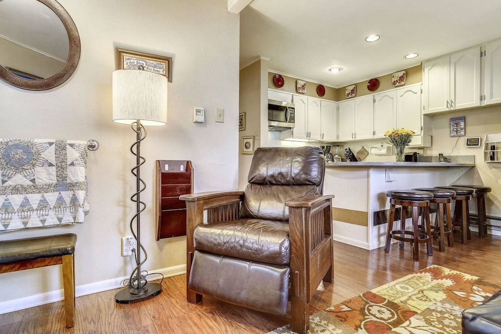 Downtown Aspen 2 Bedroom Condo - Silverbell view 5