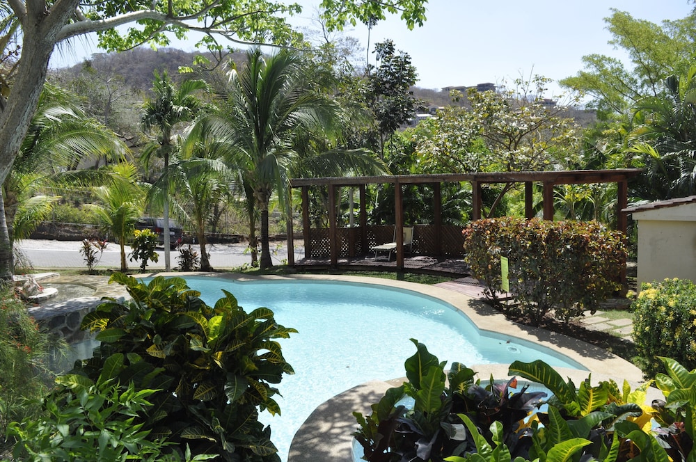 Tropical Gardens