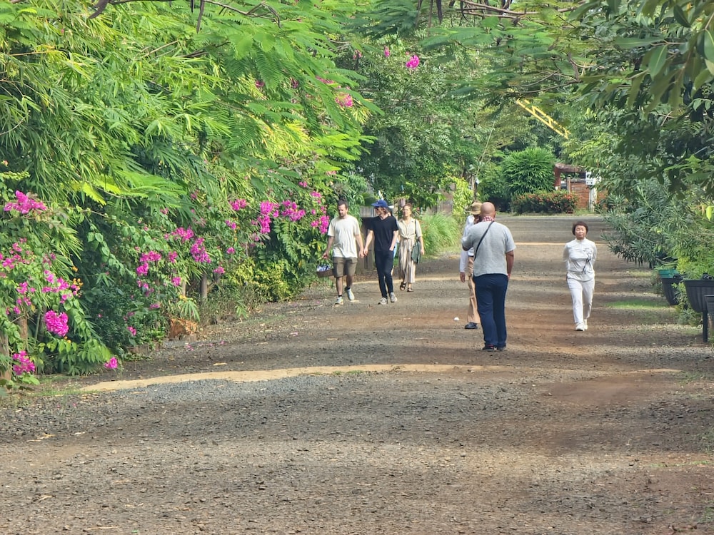 Phnom Tbeng Resort