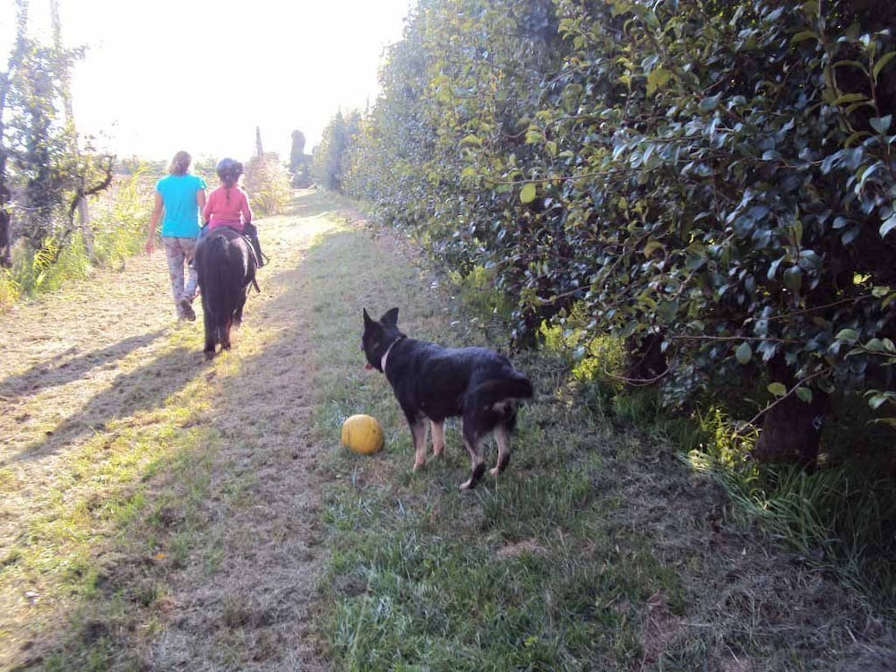 Agriturismo Ca' Del Ferro