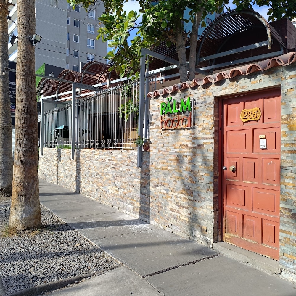 Palm Hostal