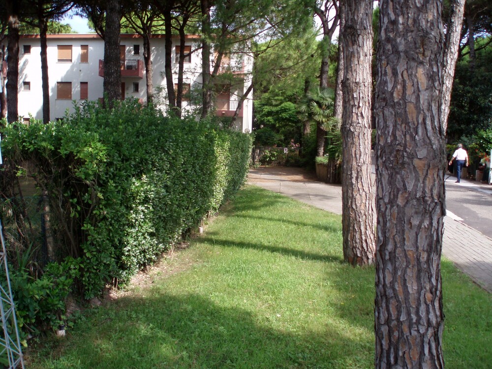 Photo 37