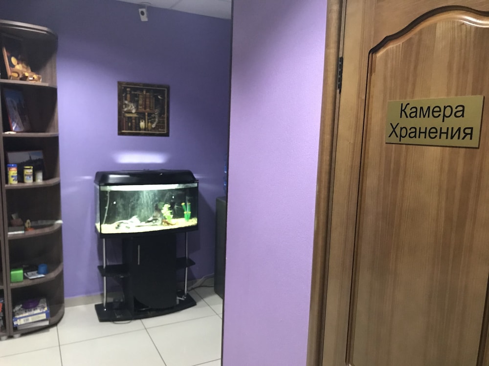 Good Cat - Hostel