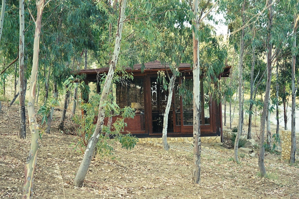Photo 45
