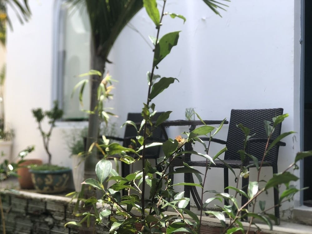 Dalat Blue House Homestay & Cafe view 5