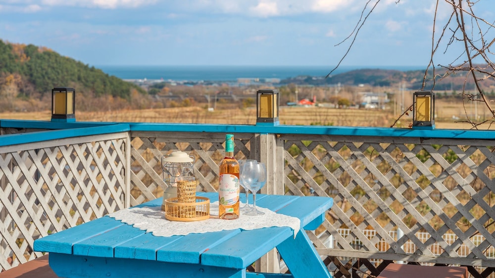 Yangyang Monti Pet Spa Pension