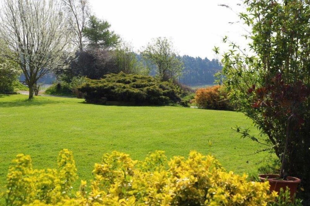 Elmfield House B&B