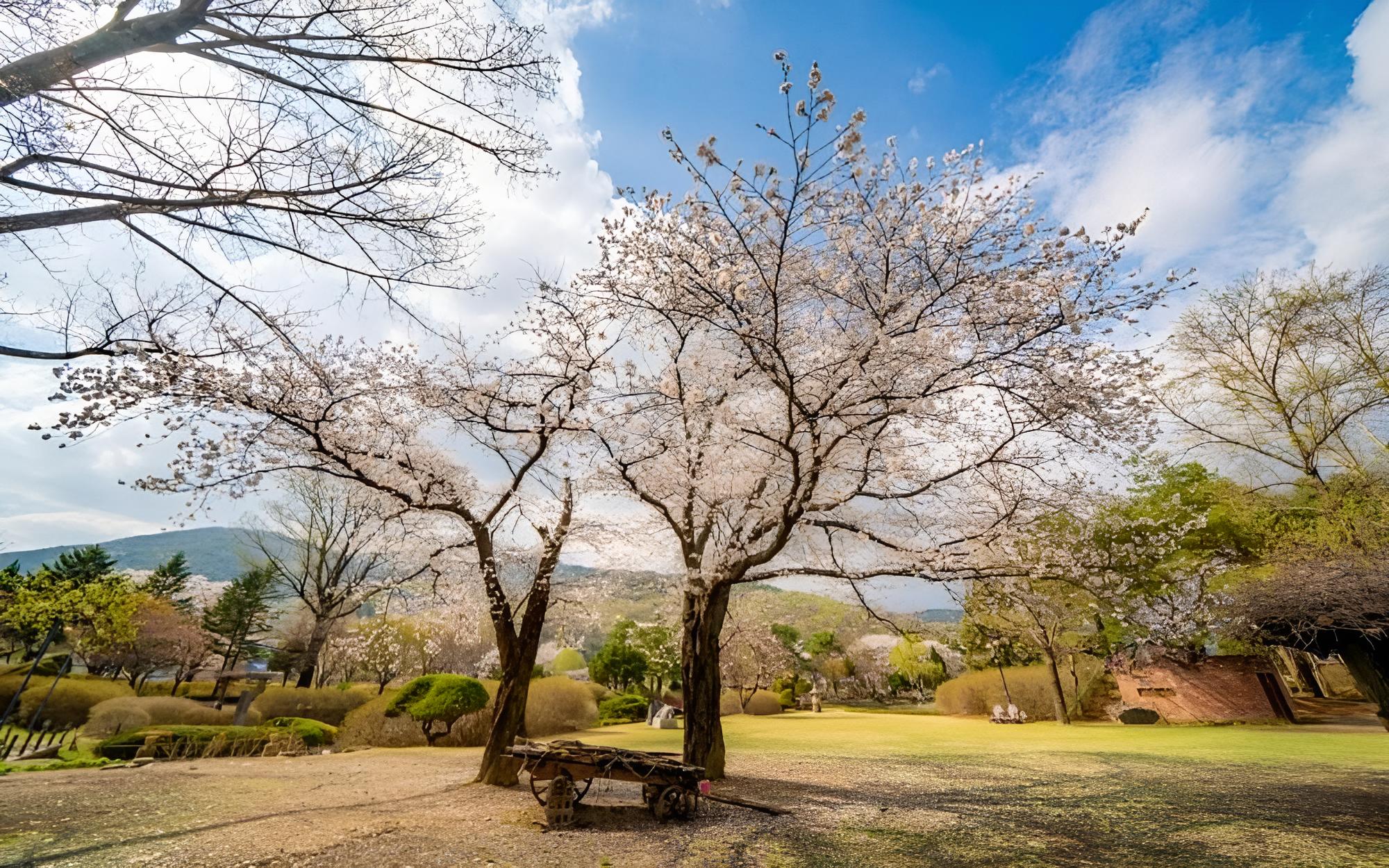 Pocheon Seoundongsan Pension view 5