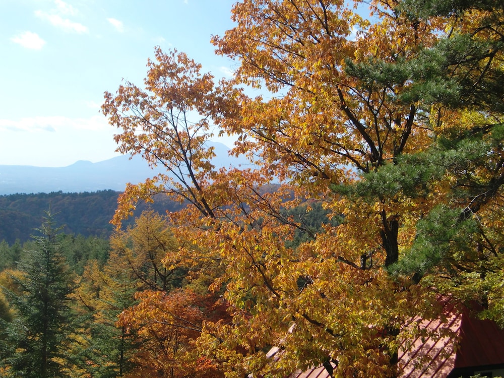Pension BERGLAND