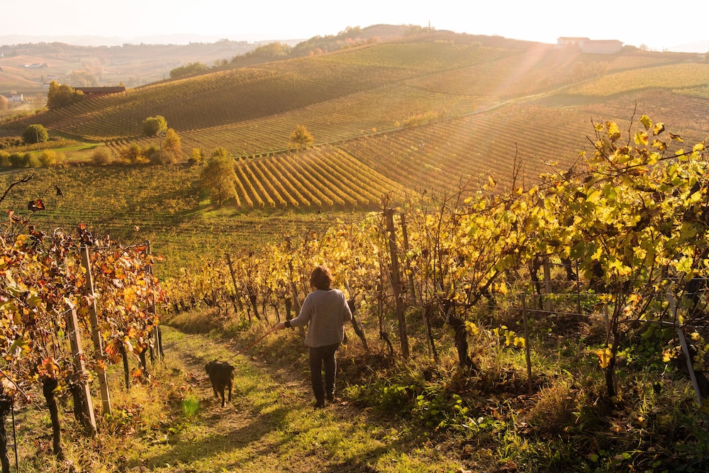 Agriturismo Albarossa