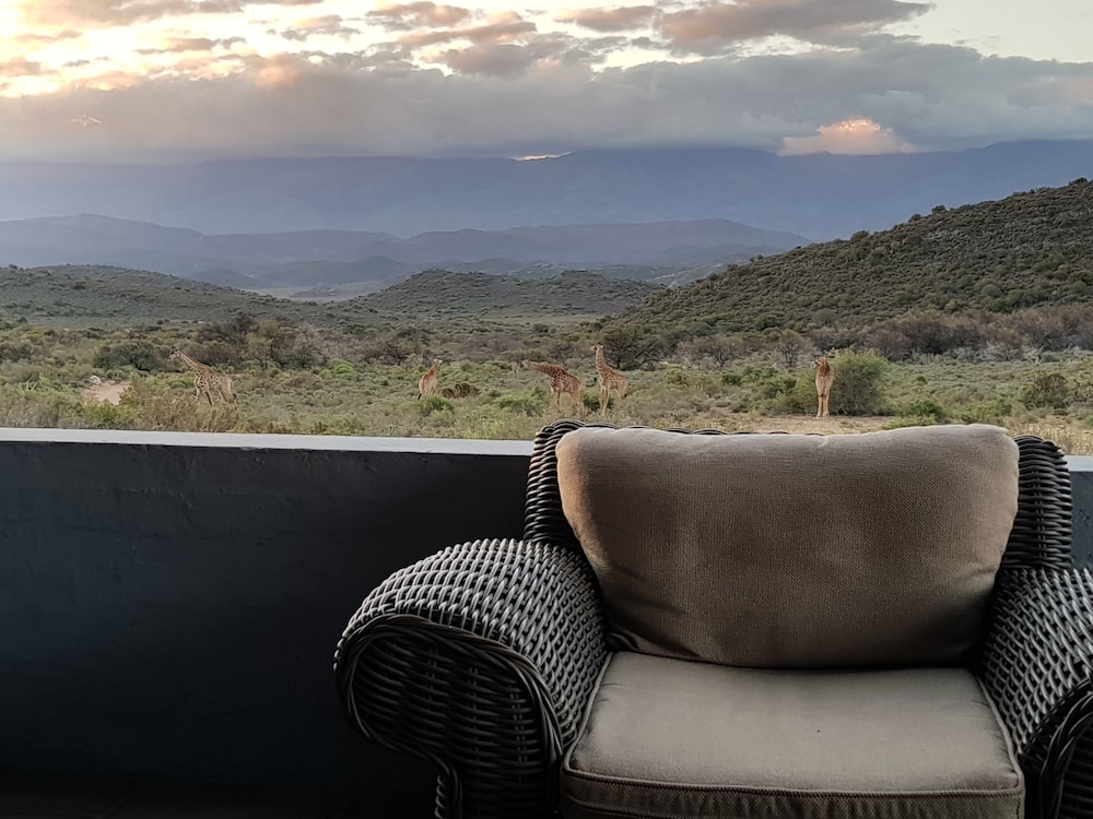 Rooiberg Safaris
