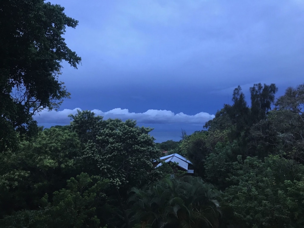 Roatan Bed & Breakfast Apartments