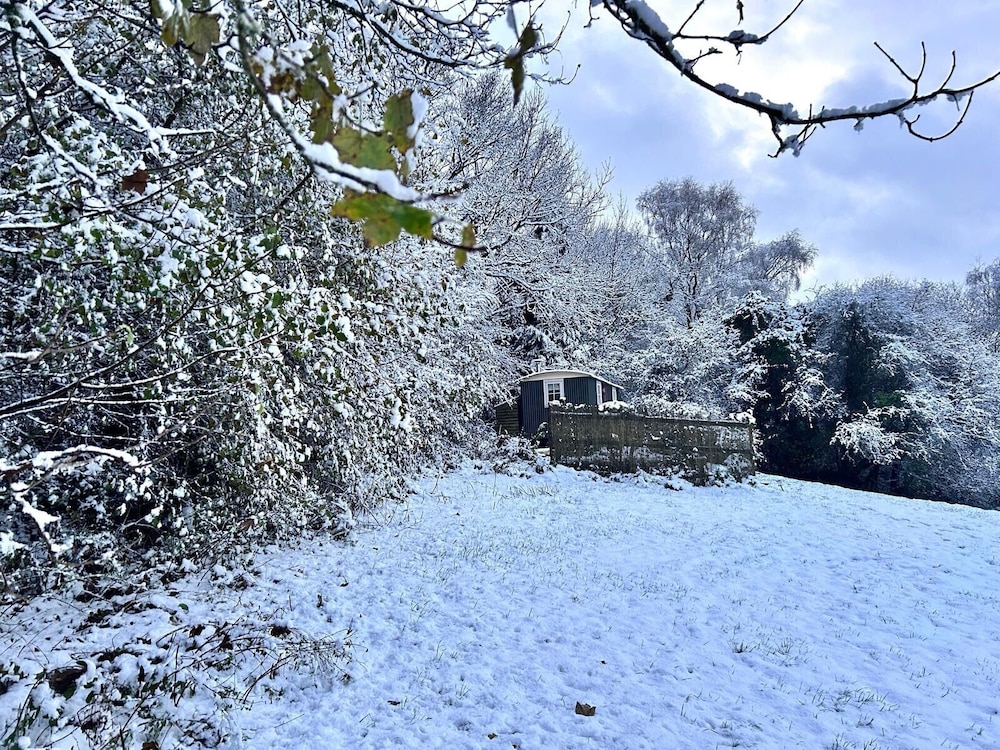 Tranquil Cabin Retreat Near Chepstow