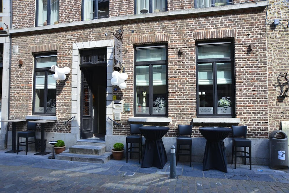 De Koddige Kater