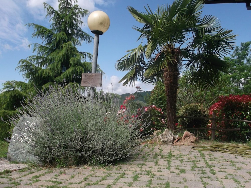 Photo 27